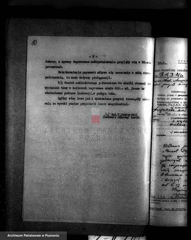 Obraz 14 z jednostki "Majętność /leśna/ Smogulecka Wieś powiat szubiński"