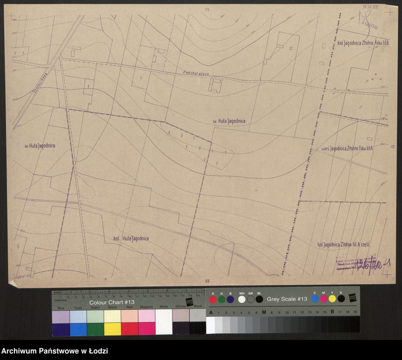 Obraz 1 z jednostki "Plan miasta Łodzi Sekcja NW 28"