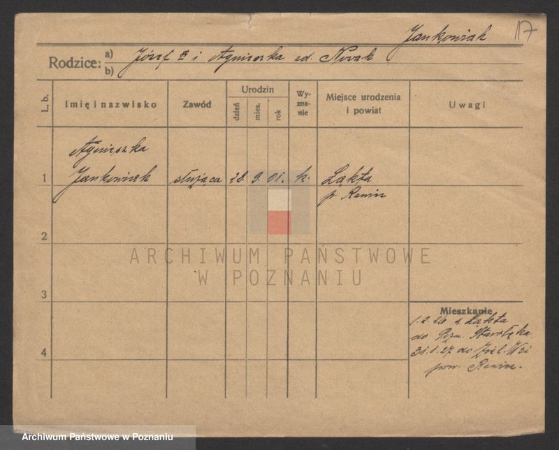 Obraz 17 z jednostki "Jankowiak (samotne kobiety)"