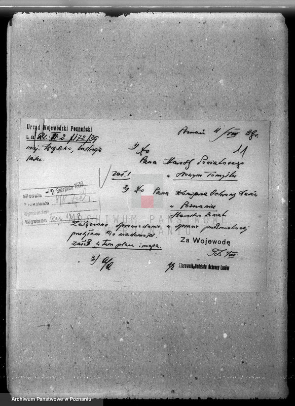 Obraz 16 z jednostki "/Majętność leśna Wąsowo w powiecie nowotomyskim/"