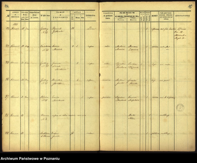 Obraz 10 z jednostki "Księga zgonów"