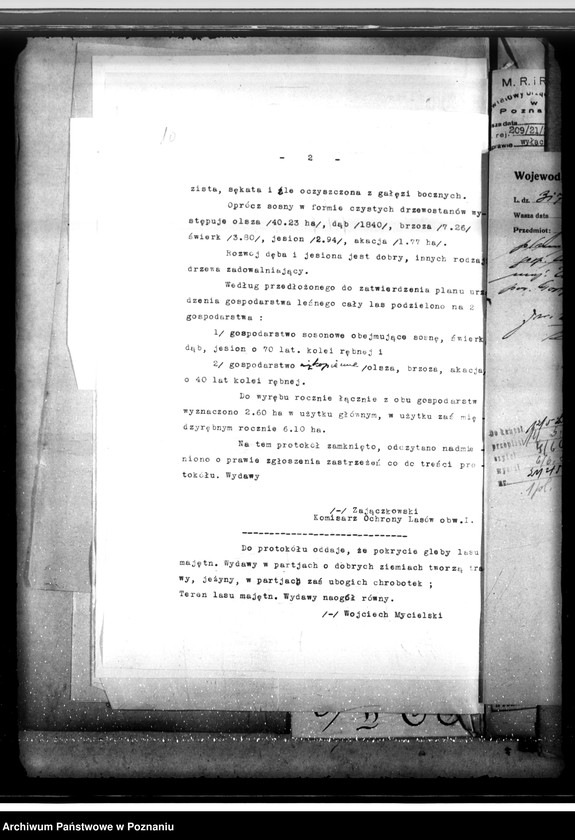 Obraz 14 z jednostki "Lasy majętności Wydawy w powiecie gostyńskim"