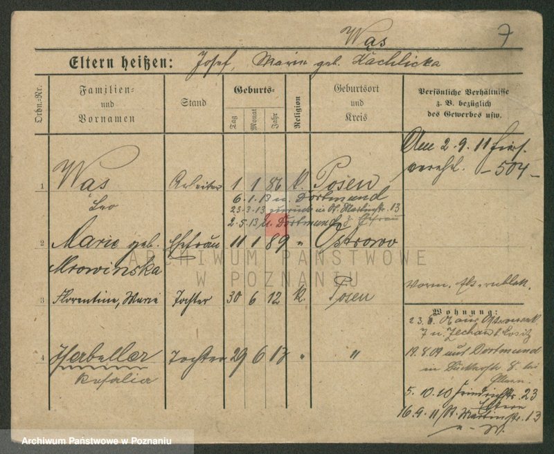 Obraz 17 z jednostki "Wąsicki - Wasilewski"