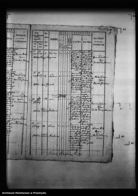 Obraz 13 z jednostki "[Kopie ksiąg metrykalnych parafii Wierzbiany (dekanat Niemirów)]"