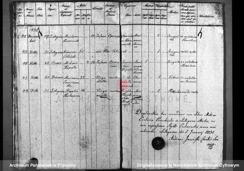 image.from.unit.number "Duplicatum baptisatorum, copulatorum, mortuorum"