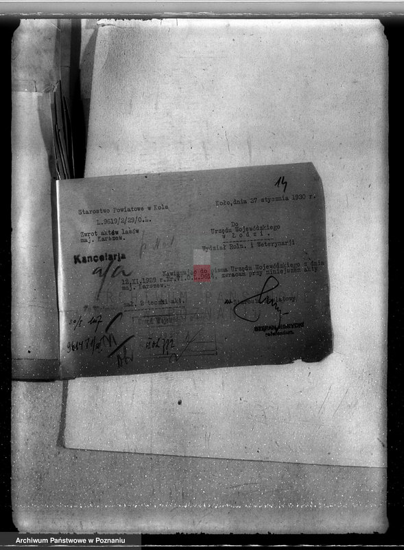 Obraz 18 z jednostki "Sprawa nieprawego wyrębu lasu w majątku Karczew w powiecie kolskim"