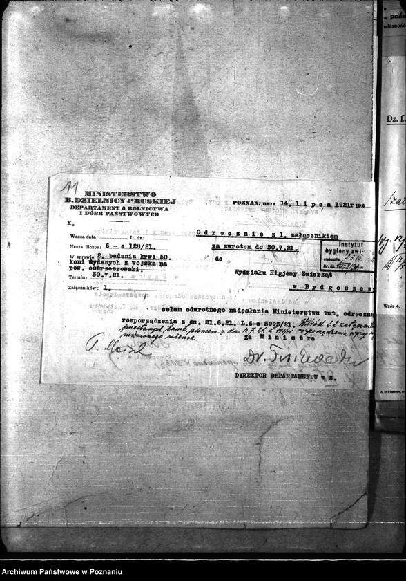 Obraz 15 z jednostki "Nosacizna - Ostrzeszów"