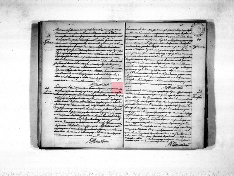 image.from.unit.number "Duplikat aktov rodivšichsja, umeršich i brakosočetavšichsja vejsejskogo rimsko-katoličeskogo prichoda na 1877 god"