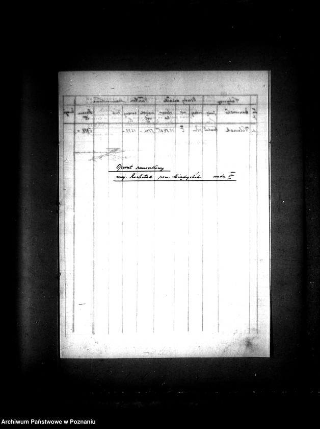 Obraz 5 z jednostki "Operat szacunkowy majątku Prusim-Rozbitek powiatu międzychodzkiego"