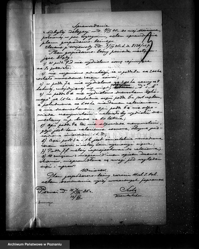 Obraz 7 z jednostki "Majętność leśna Kostrzynek-Mościska powiat wyrzyski"