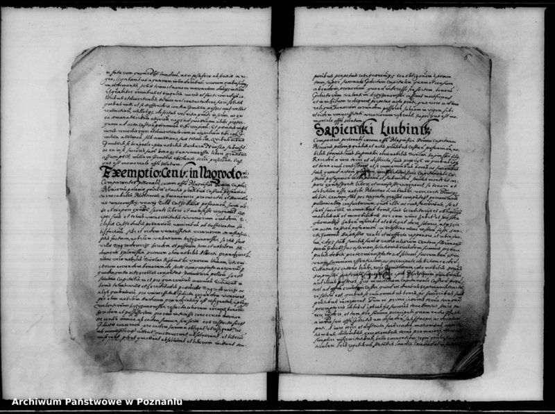 Obraz 10 z jednostki "Inscriptiones, relationes [inducta]"