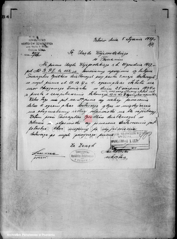 Obraz 20 z jednostki "Towarzystwo Ogródków Działkowych przy Parku 3 Maja w Ostrowie Wielkopolskim"