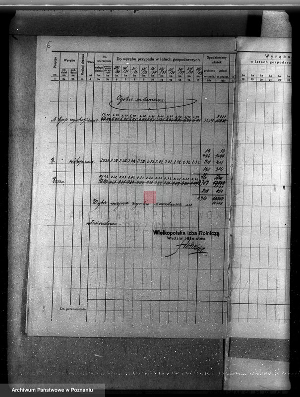 Obraz 11 z jednostki "Nadzór nad gospodarką leśną majątku Sławno powiat czarnkowskim"