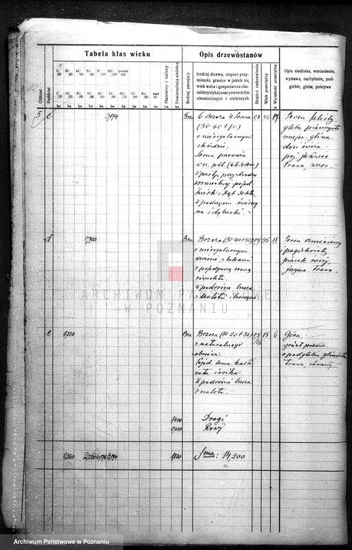 Obraz 16 z jednostki "Plan urządzania gospodarstwa leśnego dla gminy miasta Czarnkowa"