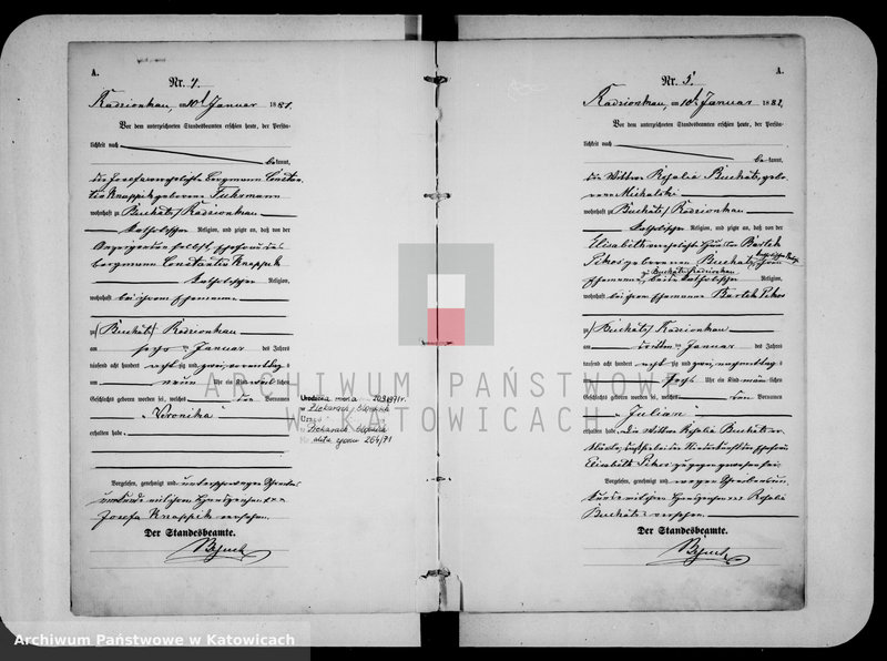 image.from.unit.number "Księga urodzeń za rok 1882 [nr 1-198]"