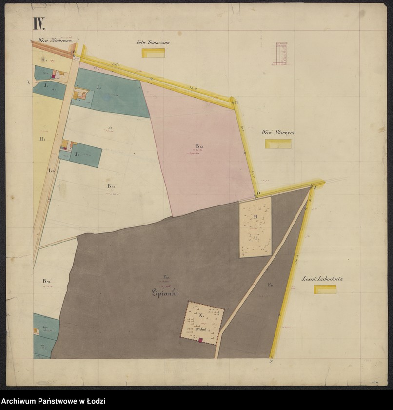 Obraz 7 z jednostki "Pierworys pomiaru territorium Miasta Tomaszowa Mazowieckiego z przyległymi gruntami i lasami do dóbr Tomaszowa należącymi ..."