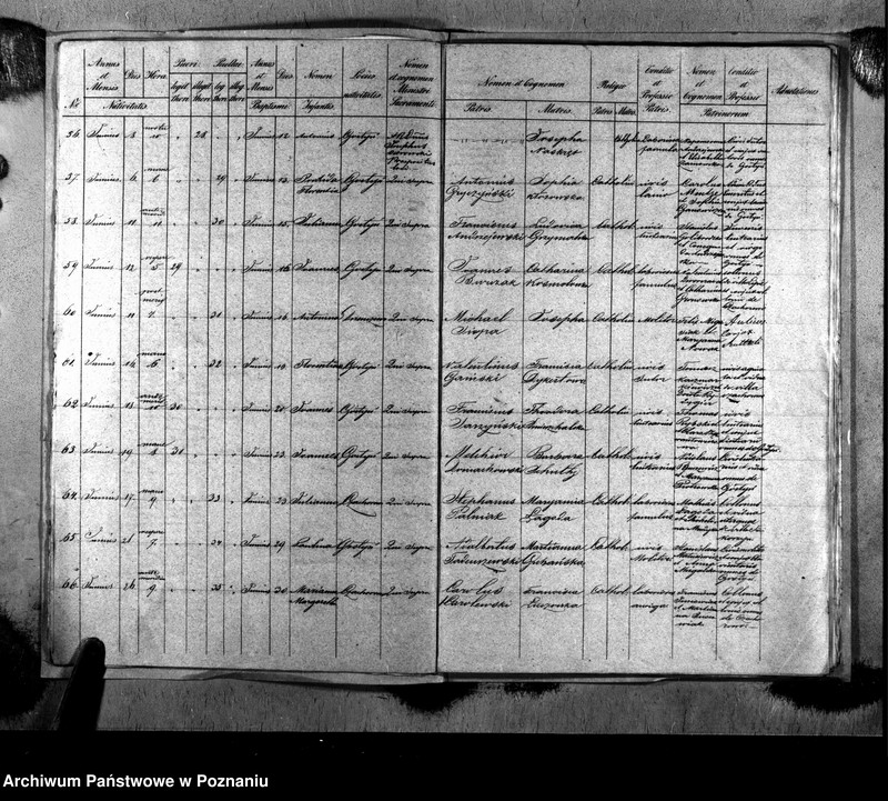 image.from.unit.number "Liber baptisatorum, copulatorum, mortuorum"