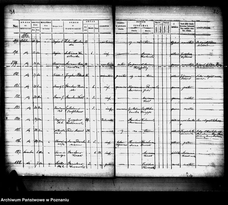 Obraz 17 z jednostki "Księga zgonów"