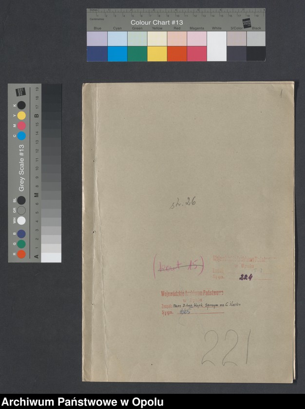 Obraz 3 z jednostki "/Raporty miesięczne oddziałów wojsk francuskich o morale żołnierzy/ V 1920"