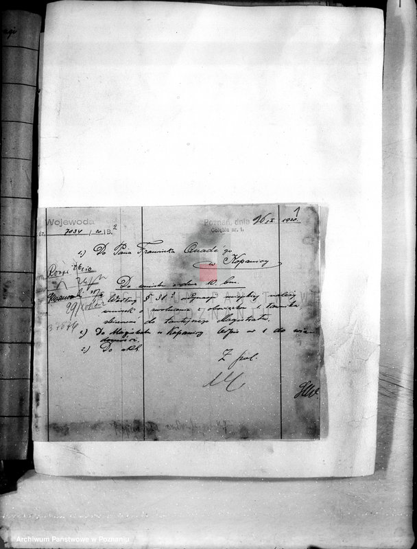 Obraz 5 z jednostki "Administracja miasta Kościana"