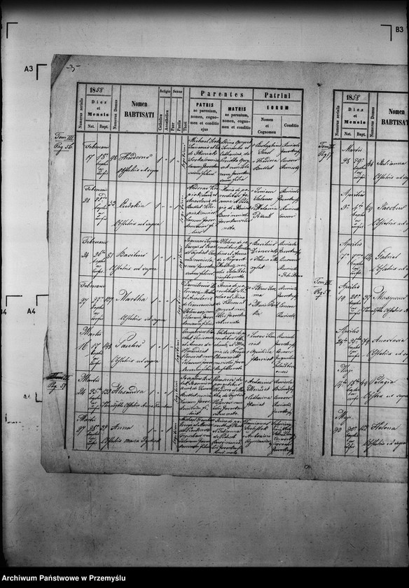 image.from.unit.number "[Kopie ksiąg metrykalnych parafii Jaworki z filiami Biała Woda, Czarna Woda (dekanat Muszyna)]"