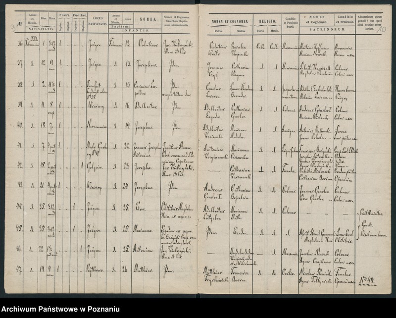 Obraz 9 z jednostki "Księga urodzin"