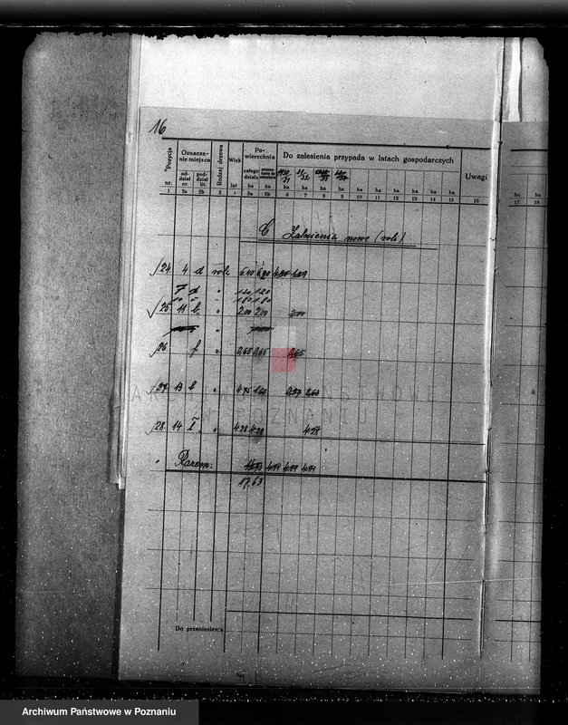 Obraz 20 z jednostki "Plan urządzania gospodarstwa leśnego dla lasu majętności Bonikowo - powiat kościański"