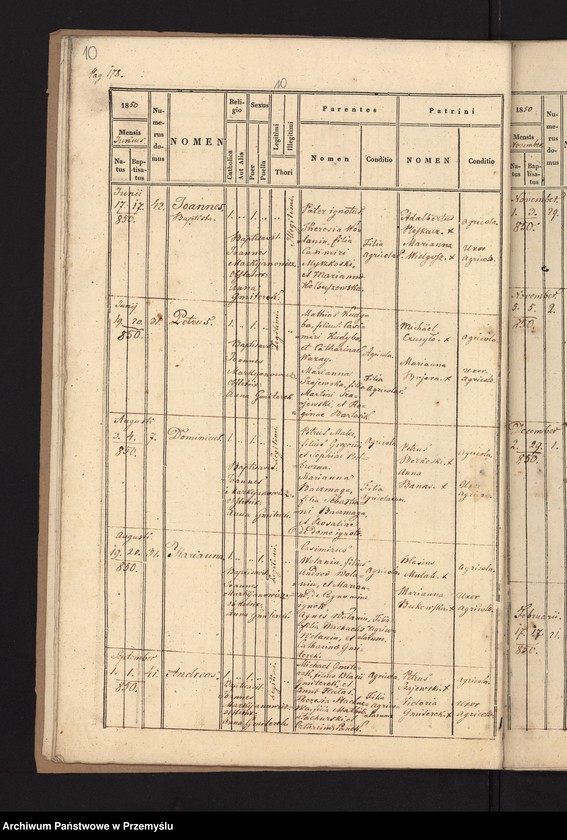 Obraz 12 z jednostki "[Kopie ksiąg metrykalnych urodzeń, małżeństw i zgonów parafii Narol za rok 1850]"