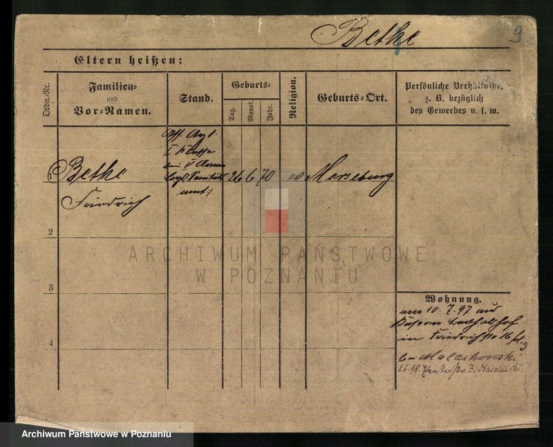 Obraz 11 z jednostki "Bete - Białagłowska"