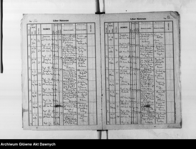 image.from.unit.number "Parafia: Skałat. Dekanat: Skałat. Księga metrykalna urodzeń dla wsi Panasówka*."