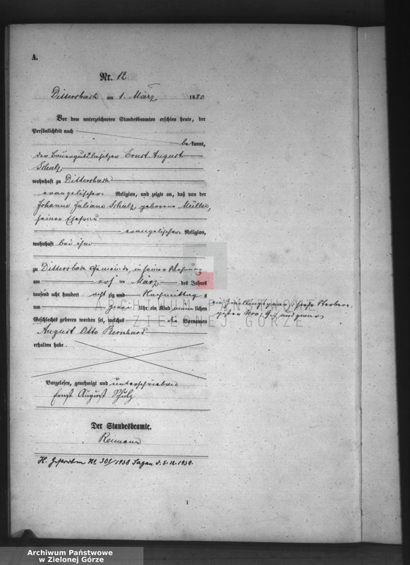 Obraz 15 z jednostki "[Księga aktów urodzeń]"