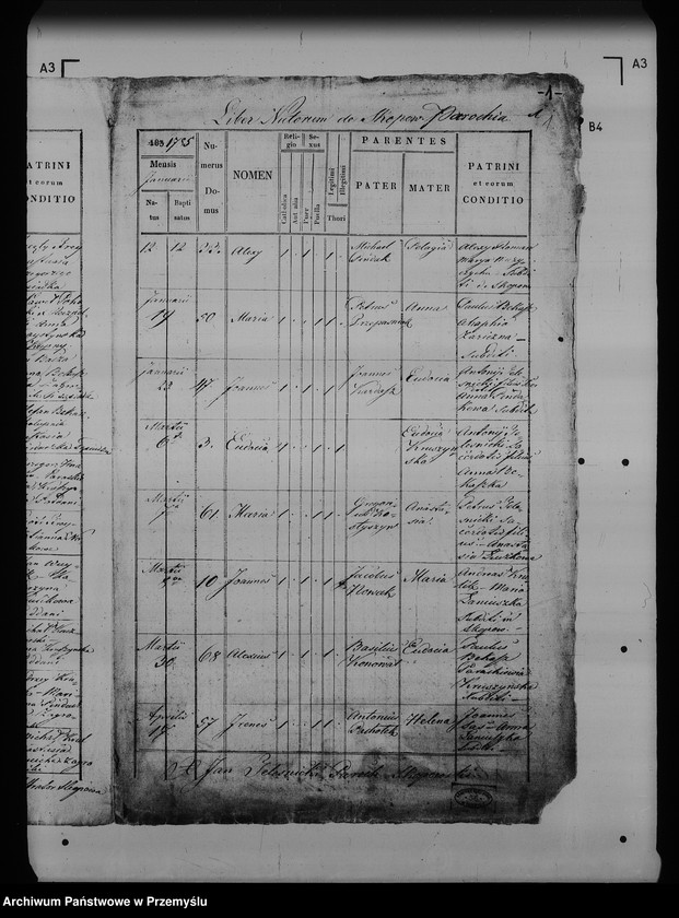 image.from.unit.number "[Kopie ksiąg metrykalnych parafii Skopów z filiami Babice, Ruszelczyce (dekanat Pruchnik)]"