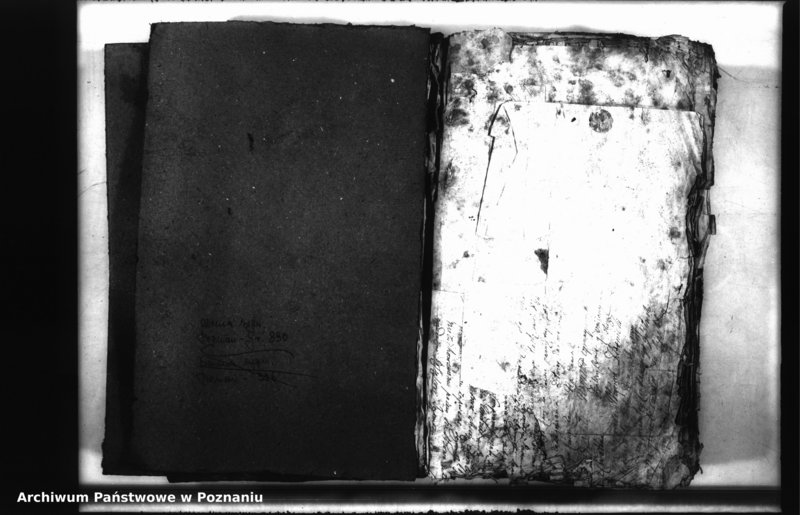 Obraz 3 z jednostki "Relationes [protocollon]"