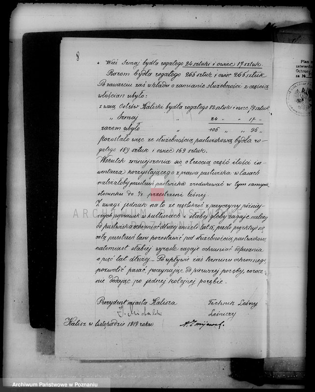 Obraz 13 z jednostki "/Las miasta Kalisza nadzór nad gospodarką/"