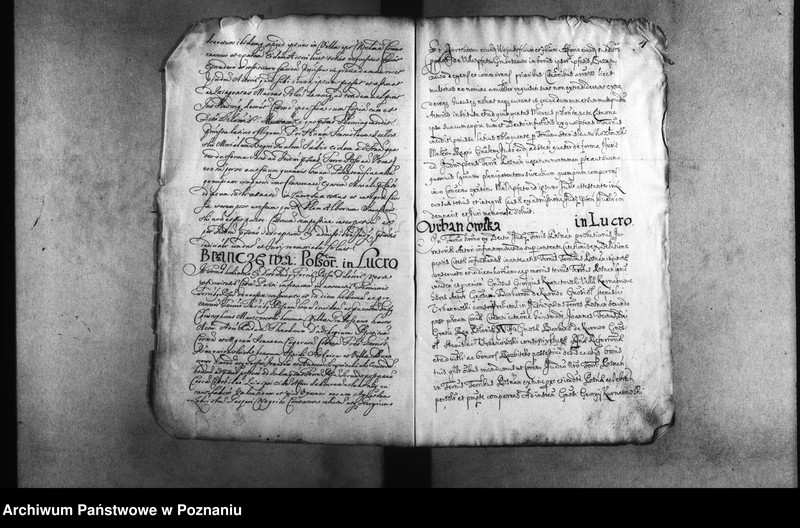 Obraz 8 z jednostki "Decreta [inducta]"