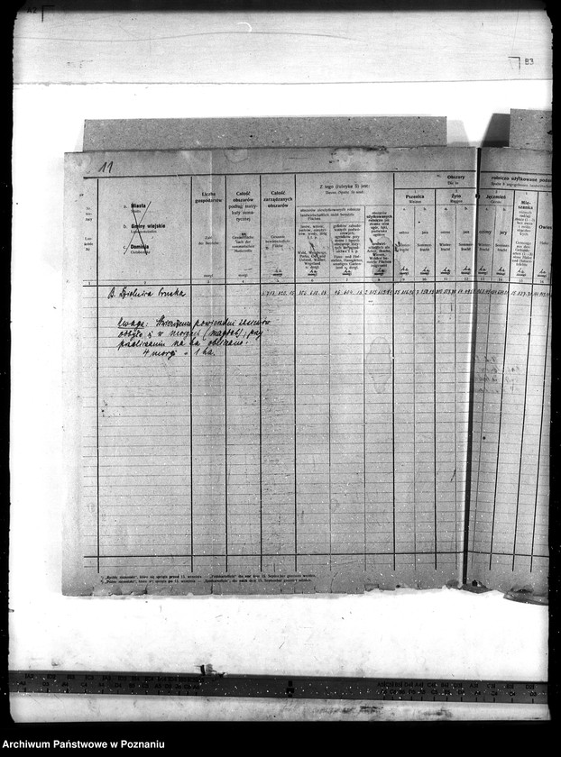 Obraz 16 z jednostki "Statystyka"