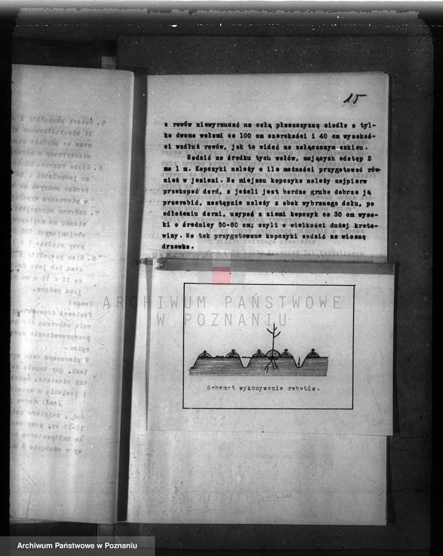 Obraz 19 z jednostki "Dodatkowy plan gospodarstwa leśnego majątku Niemierzewo powiatu międzychodzkiego 1938-1948"