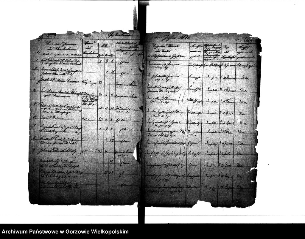 image.from.unit.number "Duplikate der Kirchenbücher von der Parochie Altensorge: Altensorge (Glinik), Blockwinkel (Bolemin), Plonitz (Płonica), Hagen (Dziersławice), Bürgerbruch (Białobłocie), Kattenhorst (Orzelec), Liebenthal (Kołomęt), Schönewald (Krasowiec)"