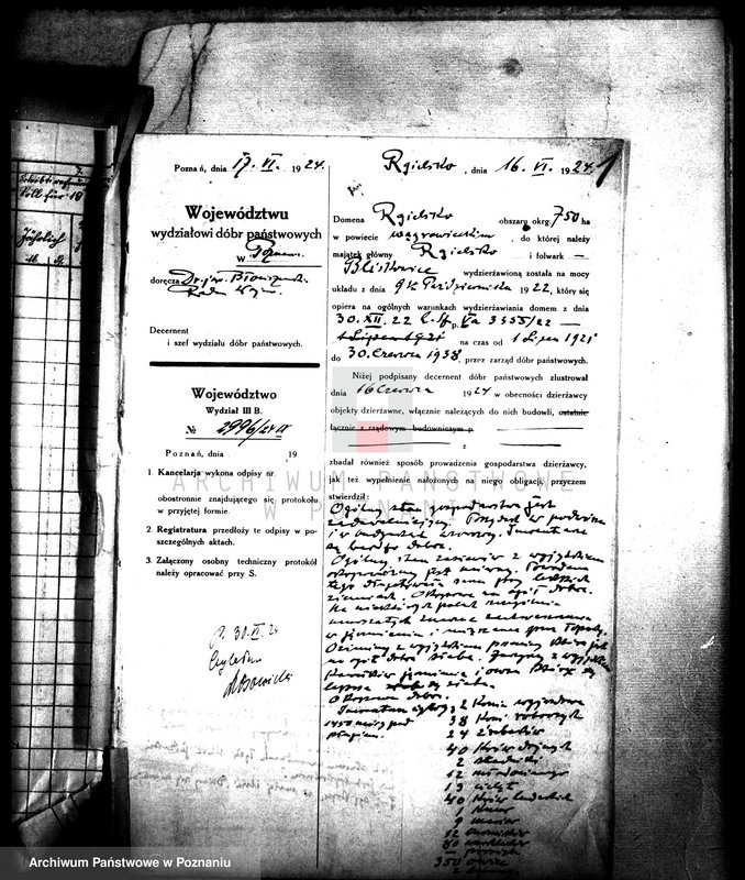 Obraz 5 z jednostki "Rewizje majątku państwowego Rgielsko"