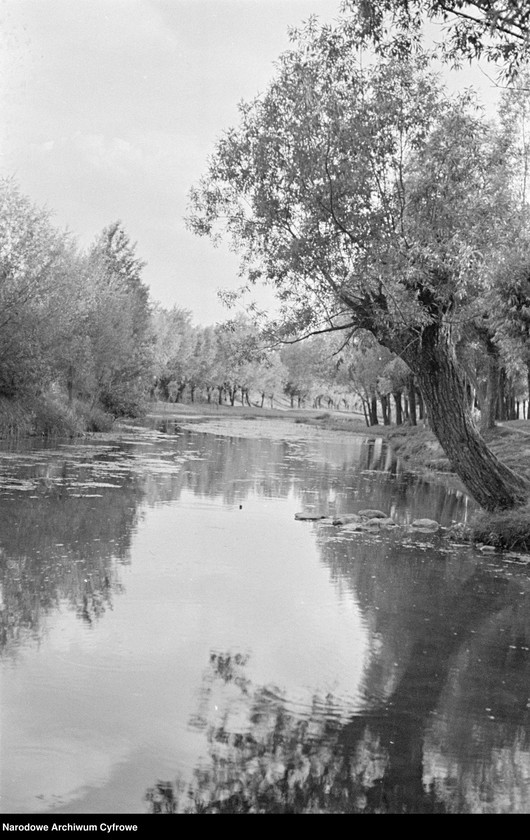 image.from.unit.number "Janowiec"