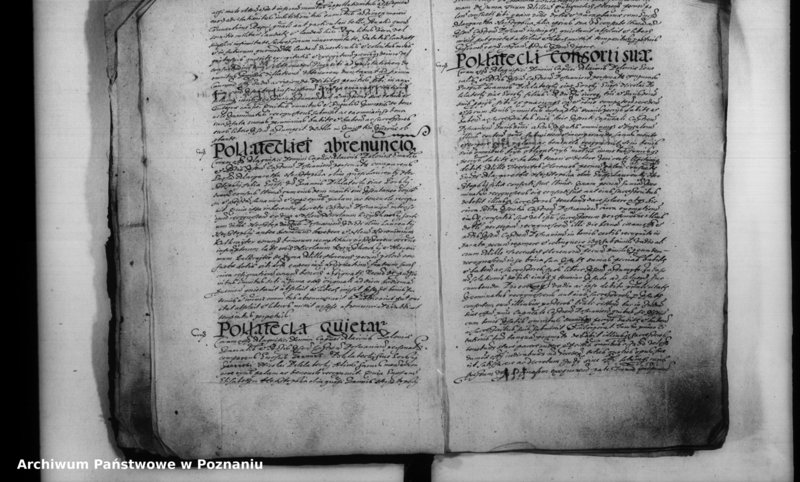 Obraz 8 z jednostki "Inscriptiones [inducta]"