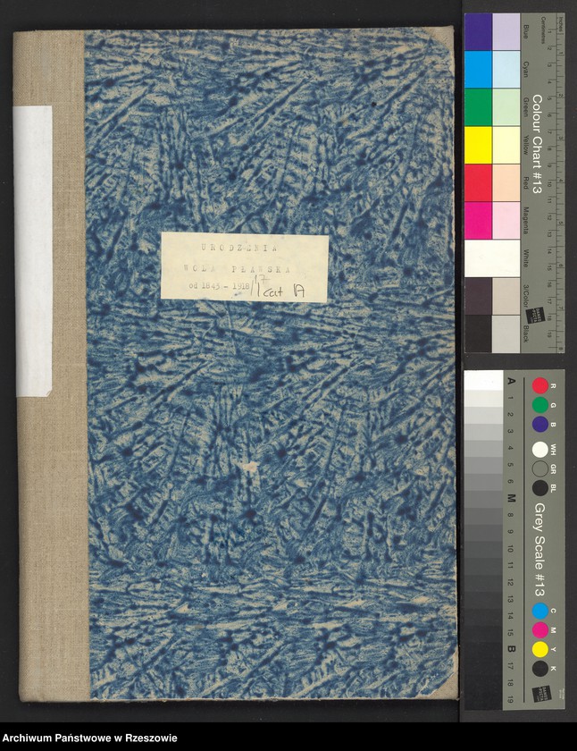 image.from.unit.number "Księga urodzeń dla miejscowości Wola Pławska"