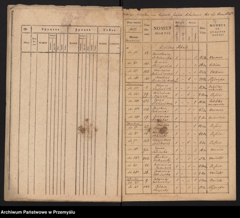 image.from.unit.number "[Odpisy ksiąg urodzeń, małżeństw, zgonów parafii rzymskokatolickiej Sokal z 1817 roku]"