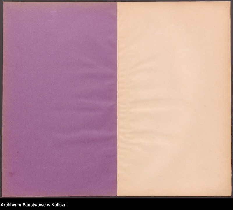 image.from.unit.number "Дубликатъ актовъ гражданского состояния о родившихся, бракосочетавшихся и умершихъ"