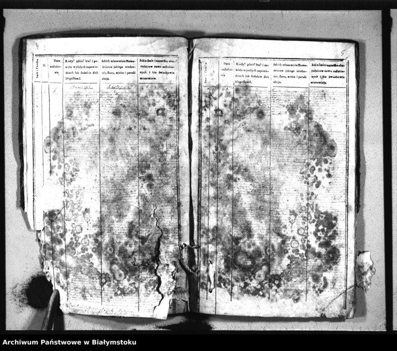 Obraz 5 z jednostki "Extrakty z metryk ślubów kościołów parafialnych w: Siemiatyczach, Ostrożanach, Dołubowie, Sadach, Niemirowie, Mielniku, Dziadkowicach"