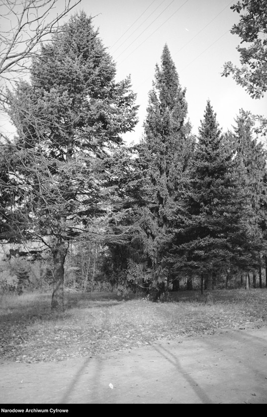 image.from.unit.number "Białowieża"