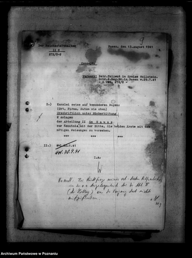 Obraz 13 z jednostki "Tollwut"