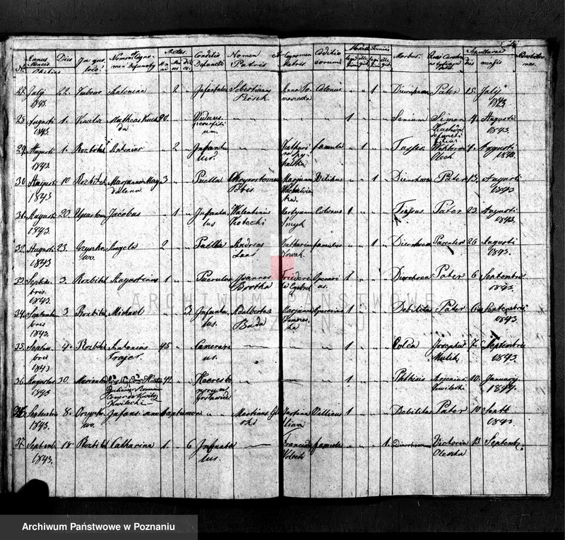 Obraz 14 z jednostki "Libri tres baptisatorum, copulatorum et mortuorum"