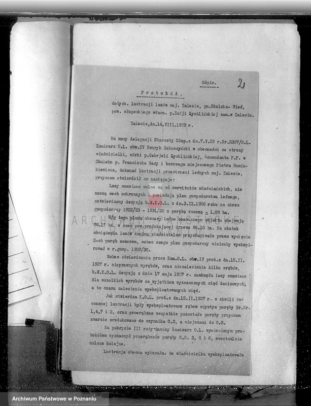 Obraz 5 z jednostki "Sprawa zmiany rodzaju użytkowania 14,42 ha gruntów leśnych w majątku Zalesie powiatu słupeckiego i zatwierdzenie planu gospodarczego"