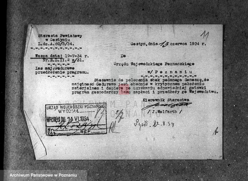 Obraz 15 z jednostki "Majętność leśna Godurowo w powiecie gostyńskim"